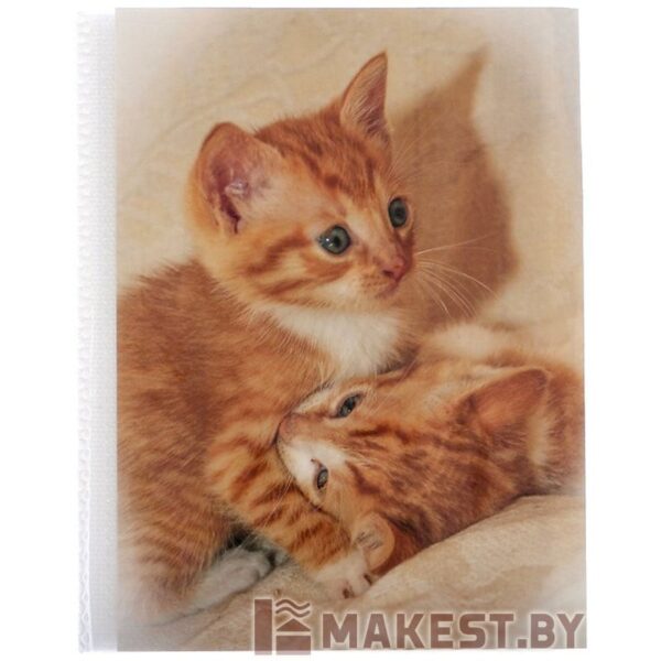 Фотоальбом на 36 фото 10х15 см Рыжие котята